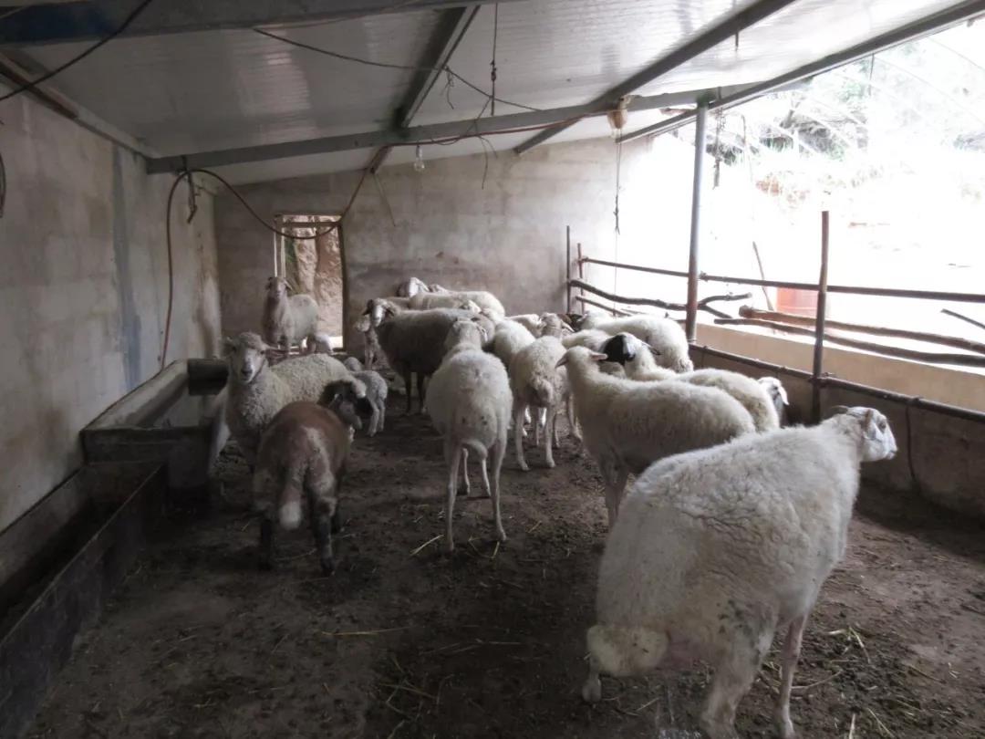 山东淄博区委书记在农村蹲点的经历和感受