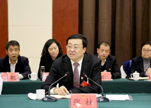 张柱参加西吉代表团审议时强调六个方面再用劲大抓落实推动大发展