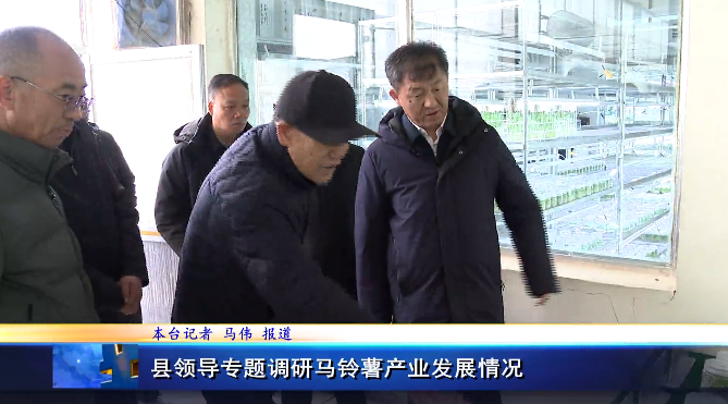 西吉县领导专题调研马铃薯产业发展情况